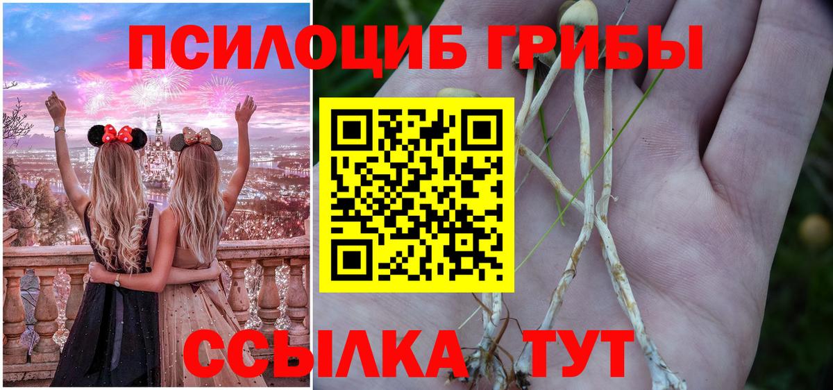 Псилоцибиновые грибы MAGIC MUSHROOMS Красноярск
