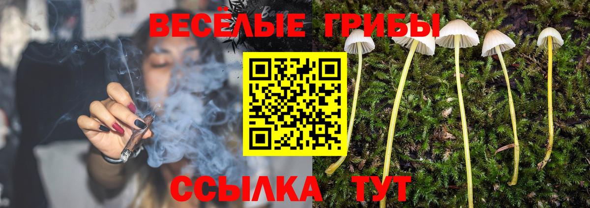 Галлюциногенные грибы прущие грибы  где купить   Вход с VPN  Красноярск  Галлюциногенные грибы MAGIC MUSHROOMS 